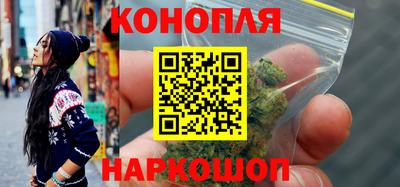 сатива Кандалакша