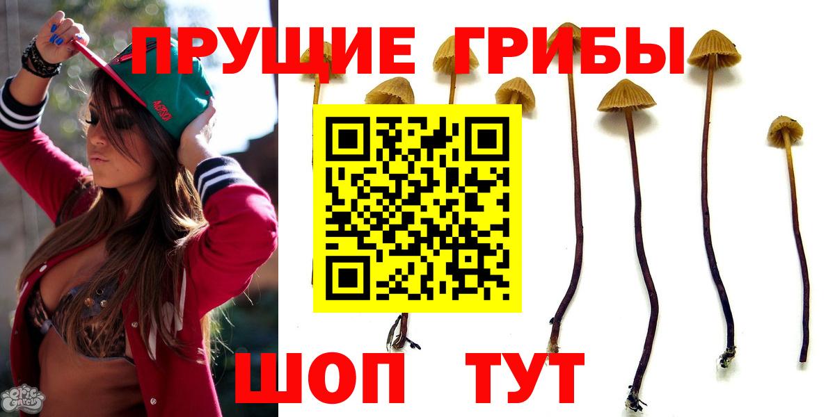 Галлюциногенные грибы мухоморы Тара